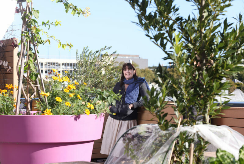 The Haymarket Centre The Haymarket Foundation